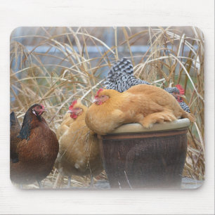 Mousepad Um tapete do rato da galinha