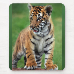 Mousepad Um tigre de bebê bonito