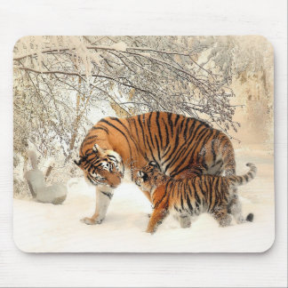 Mousepad Um Tigre E Um Cãozinho No Bloco De Mata De Florest