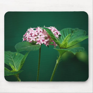 Mousepad Um toque de rosa no mouse verde