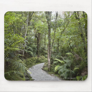 Mousepad Um trajeto através de uma floresta tropical na