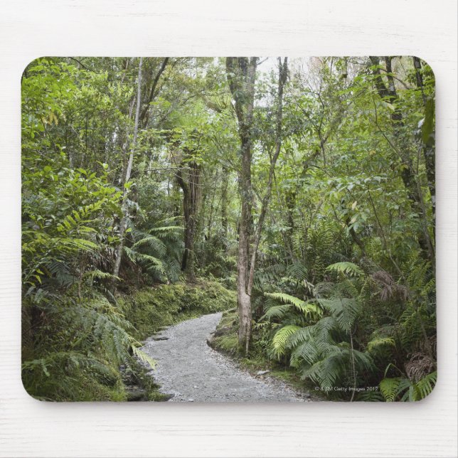 Mousepad Um trajeto através de uma floresta tropical na (Frente)
