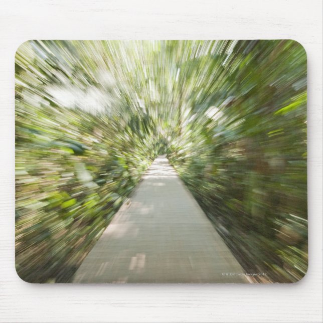 Mousepad Um trajeto de madeira através da floresta húmida (Frente)