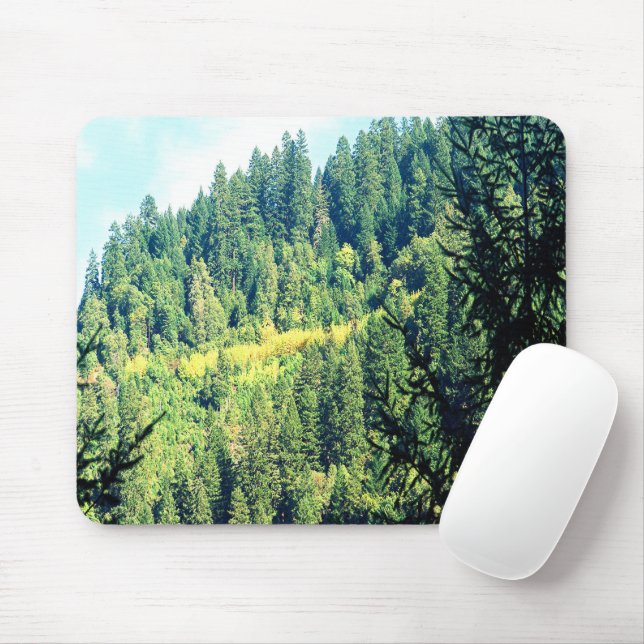 Mousepad Uma águia nas árvores... (Com mouse)