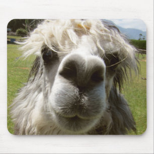 Mousepad Uma alpaca desgrenhado