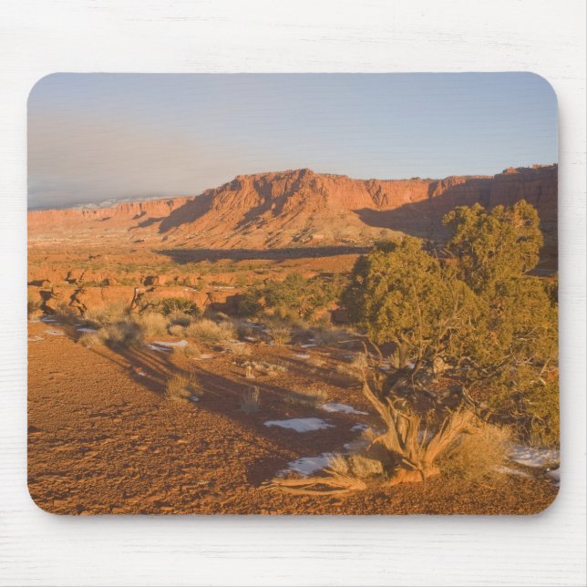 Mousepad Uma árvore de Juniperus osteosperma em 2 (Frente)