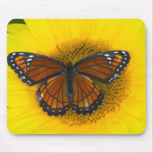 Mousepad Uma Borboleta Vice-Rei Limenitis Archippus