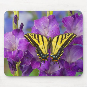 Mousepad Uma Borboleta Viceroy em Gladíolos Roxos