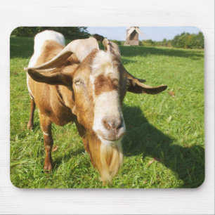 Mousepad Uma cabra - bocal