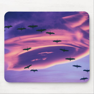 Mousepad Uma composição fotográfica de grous-da-sibéria em