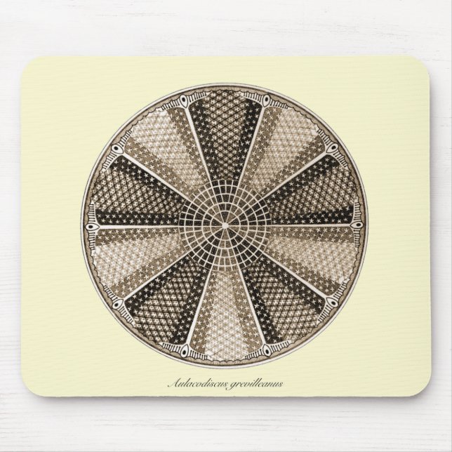 Mousepad Uma diatomácea marinha (Frente)