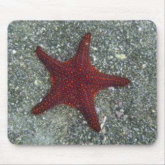 Mousepad Uma estrela do mar vermelha | Galápagos, Equador