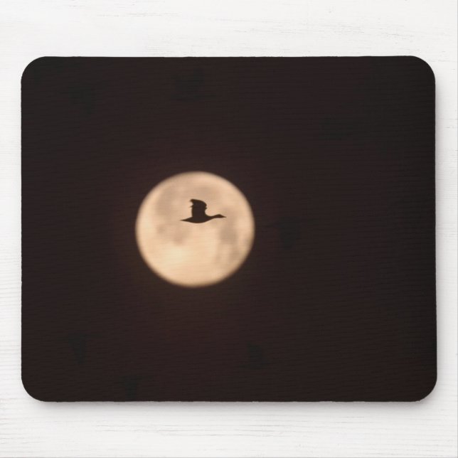 Mousepad Uma Gansa-das-neves Contra Uma Lua Cheia | Novo Mé (Frente)