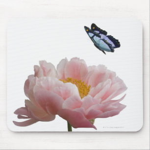 Mousepad uma grande peônia cor-de-rosa é visitada por um