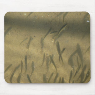 Mousepad uma história de pesca