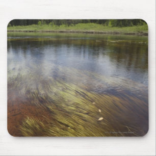 Mousepad Uma lagoa imóvel que reflete as nuvens