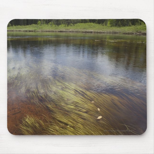 Mousepad Uma lagoa imóvel que reflete as nuvens (Frente)