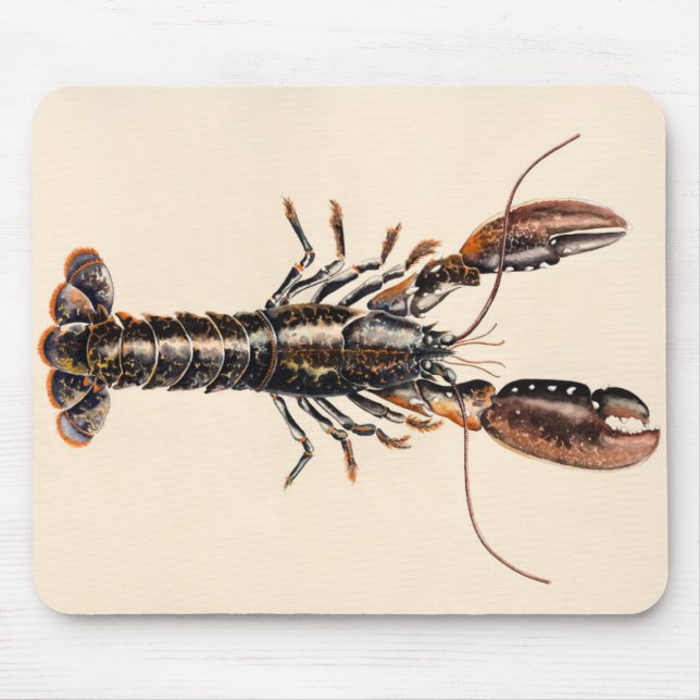 Mousepad Uma lagosta de Solva (Frente)