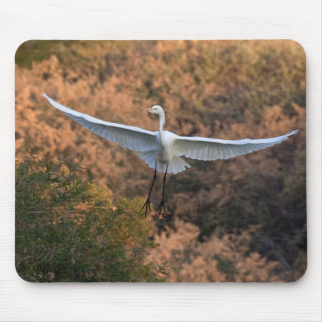 Mousepad Uma mosca Egret (Frente)