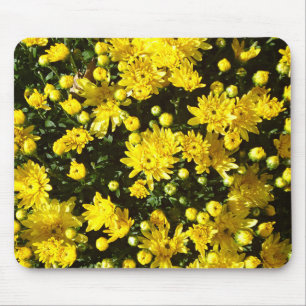 Mousepad Uma Multidão de Mums Amarelos