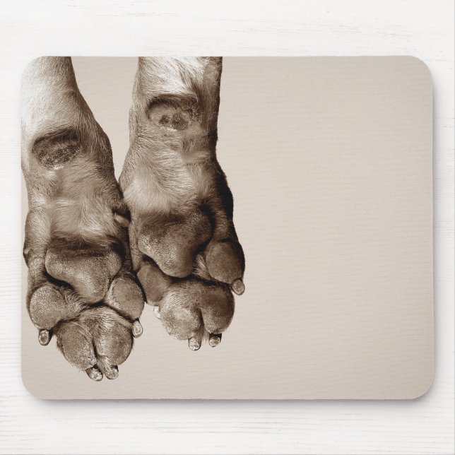 Mousepad Uma patas para cães (Frente)