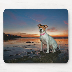 Mousepad Uma praia de assento da praia   Brigghton de Jack