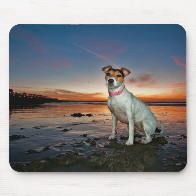 Mousepad Uma praia de assento da praia | Brigghton de Jack (Frente)