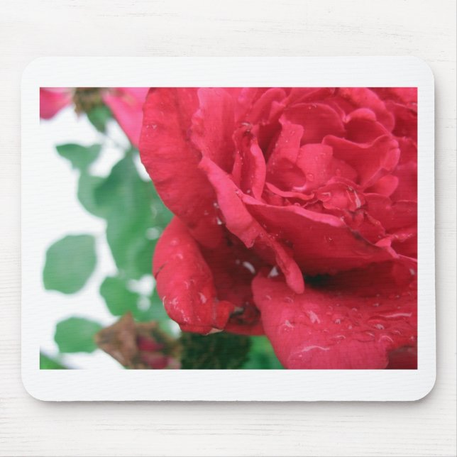 Mousepad Uma Rosa vermelha (Frente)