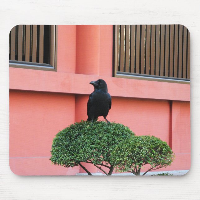 Mousepad Uma Selva De Grande Porte Uma Perca Numa Árvore Nu (Frente)