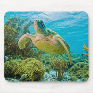 Mousepad Uma tartaruga verde nos recifes rasos de Bonaire