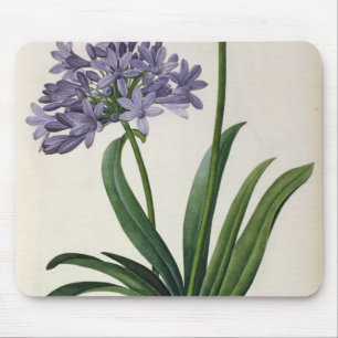 Mousepad Umbrellatus do Agapanthus