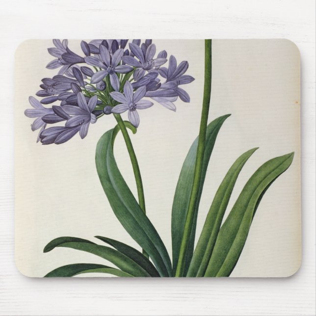 Mousepad Umbrellatus do Agapanthus (Frente)