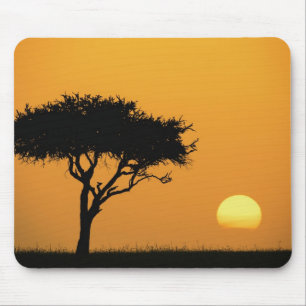 Mousepad Única árvore Acácia silhuetada ao nascer do sol, M