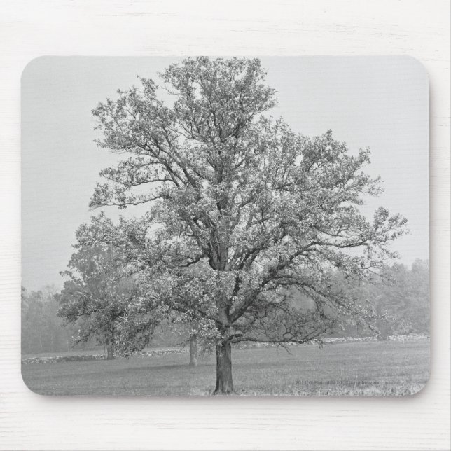 Mousepad Única árvore no campo B&W (Frente)
