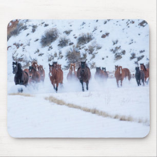 Mousepad Unidade de Cavalo de Cowboy   Hideout Ranch Shell,