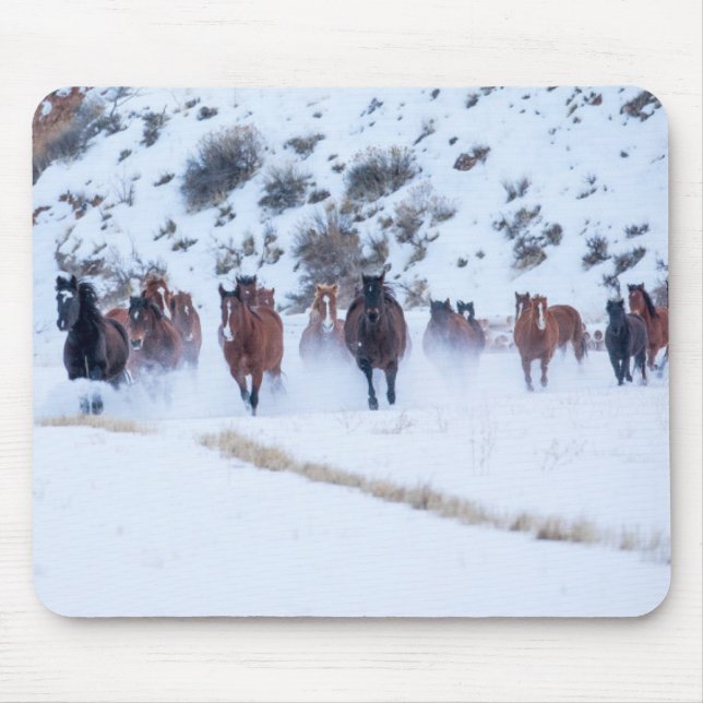 Mousepad Unidade de Cavalo de Cowboy | Hideout Ranch Shell, (Frente)
