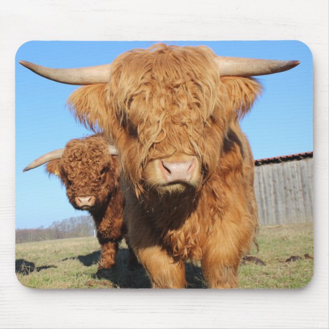 Mousepad Up Close of Scottish Highland Cows (Frente)