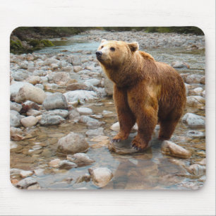 Mousepad Urso Castanho em Fluxo