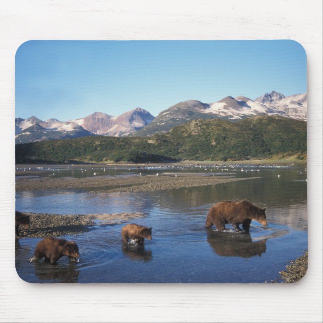 Mousepad Urso castanho, urso pardo, porcas e filhotes (Frente)