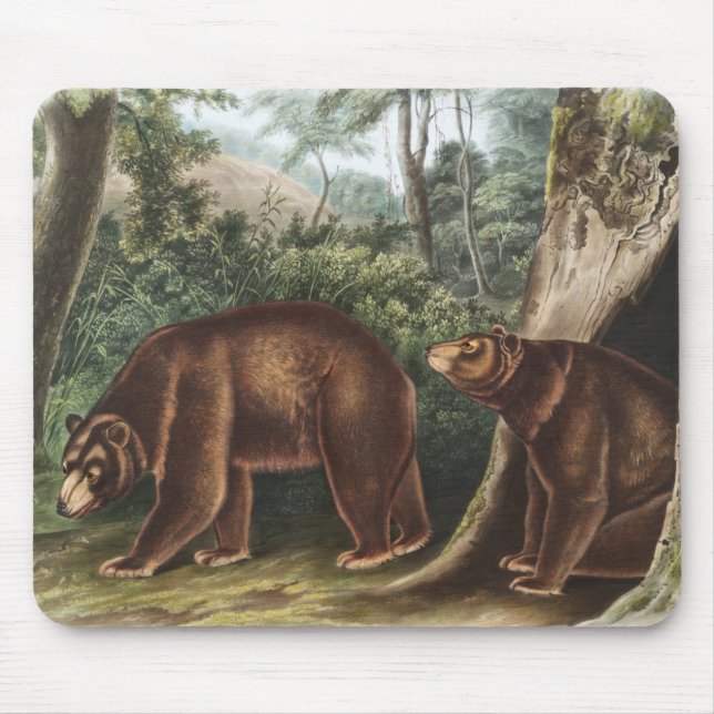 Mousepad Urso Cinamão (Ursus Americanus var. Canela) (Frente)