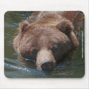 Mousepad Urso Cinzento