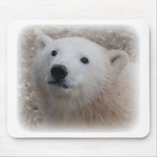 Mousepad Urso Cub polar