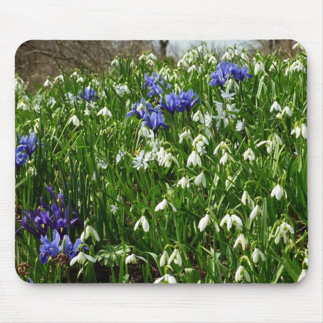 Mousepad Urso da Paisagem das Flores da Primeira primavera (Frente)