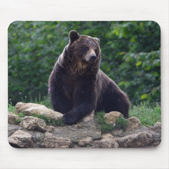 Mousepad Urso de Brown (Frente)