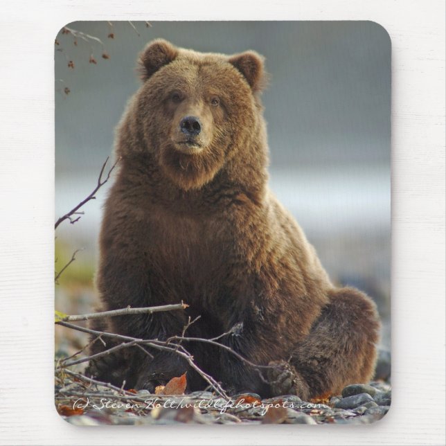 Mousepad Urso de Brown do Alasca em Kenai NWR (Frente)