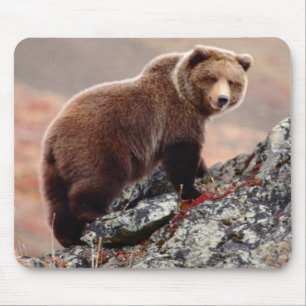 Mousepad Urso de Denali Brown