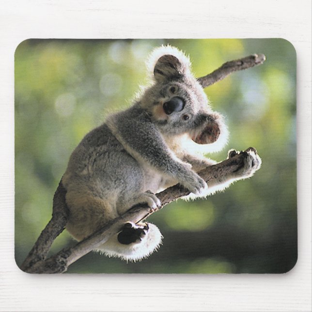 Mousepad Urso de Koala (Frente)