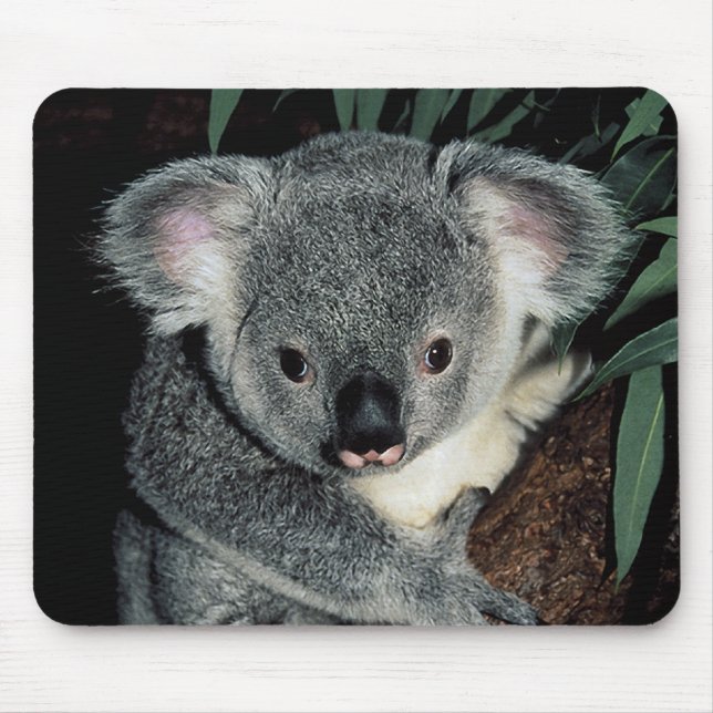 Mousepad Urso de Koala bonito (Frente)