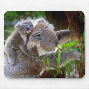 Mousepad Urso de koala bonito do bebê com mamã em uma