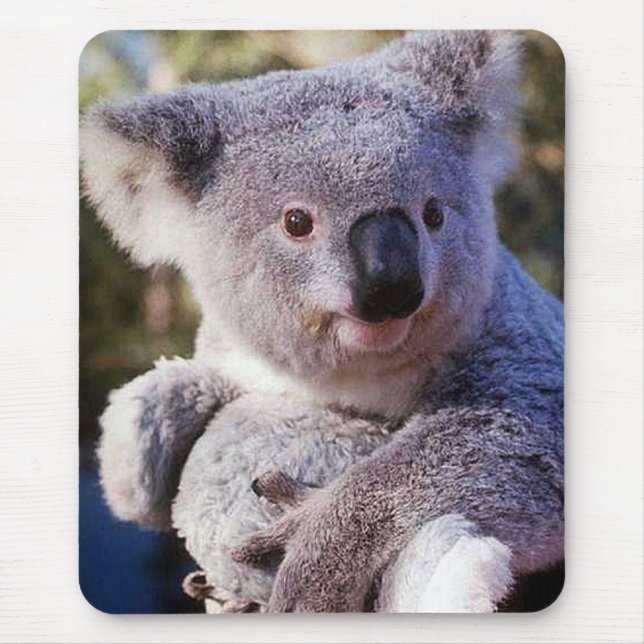 Mousepad Urso De Koala, Segurando Um Urso De Koala (Frente)